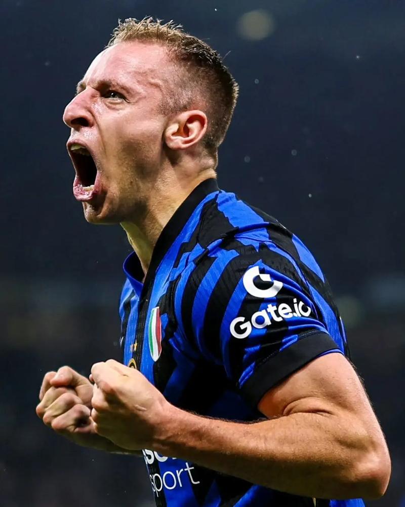 wildcard là gì